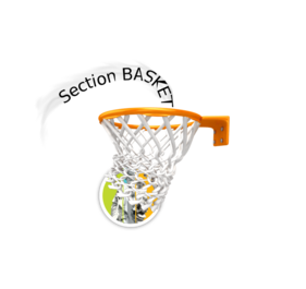 Section basketball - Collège